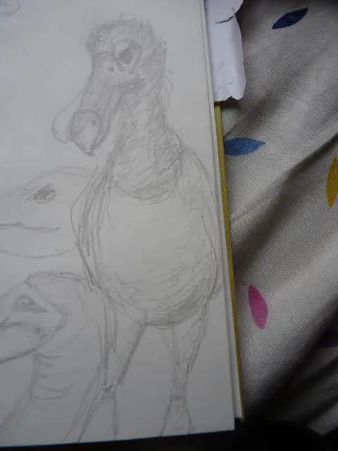Animales