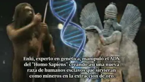 antigua prueba de contacto y   de esclavitud humana