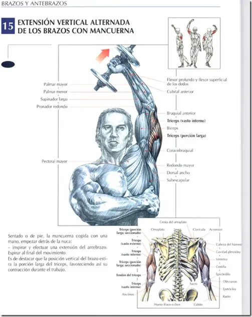 Rutina gym casero