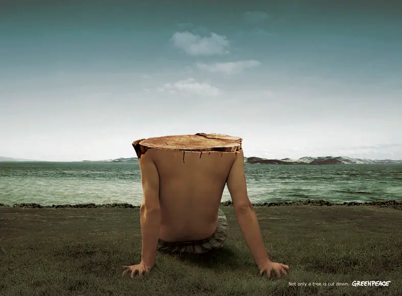 greenpeace(cuidemos el planeta en imagenes)