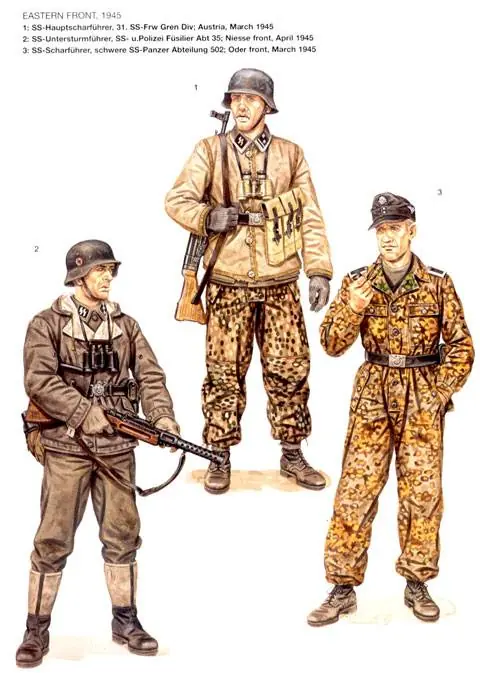 nazismo