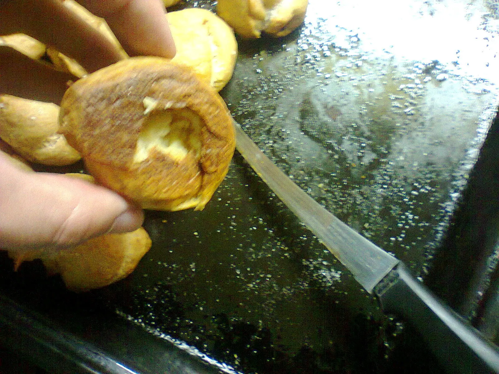 profiteroles