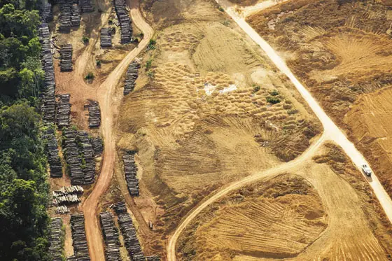 Adiós al Amazonas (imagenes impactantes + reportaje)