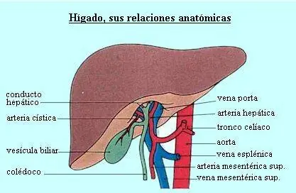 metodo
