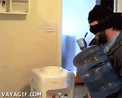 Gifs