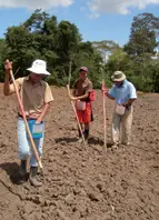 Segunda Feria Del Frijol Y Maíz 2011