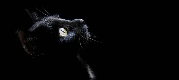 paranormal