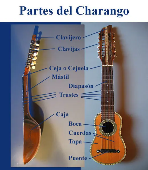 charango