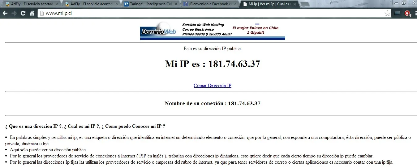 para novatos