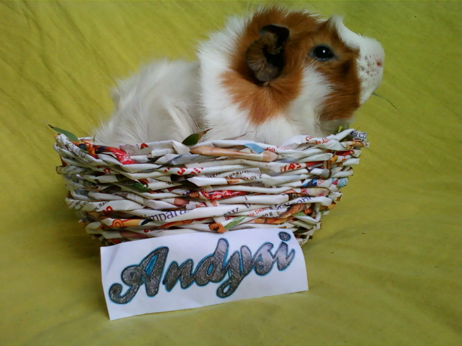 Cesta de papel Reciclado (Propio)