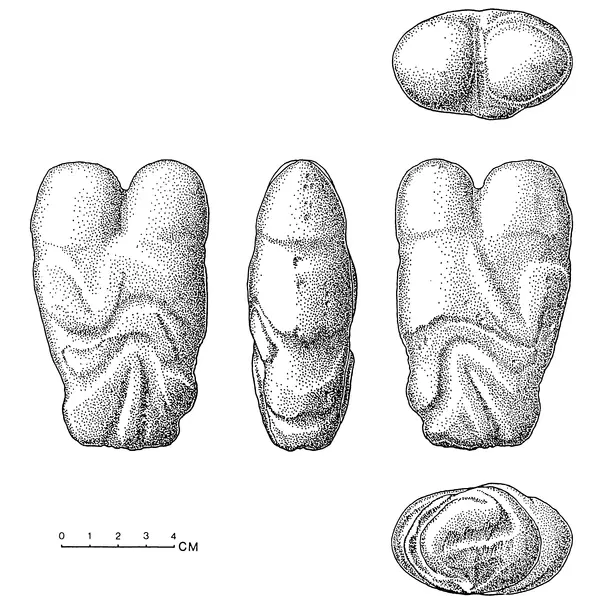 investigación