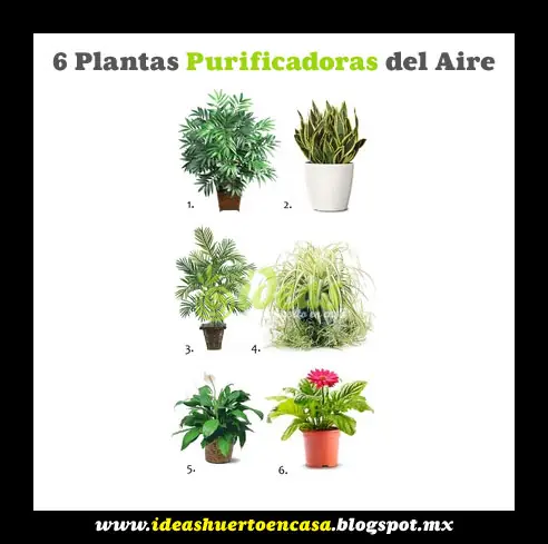 huerto urbano