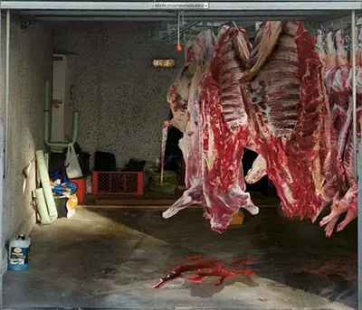 Imagenes graciosas