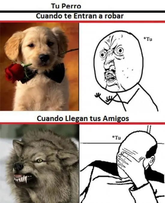 yaoming