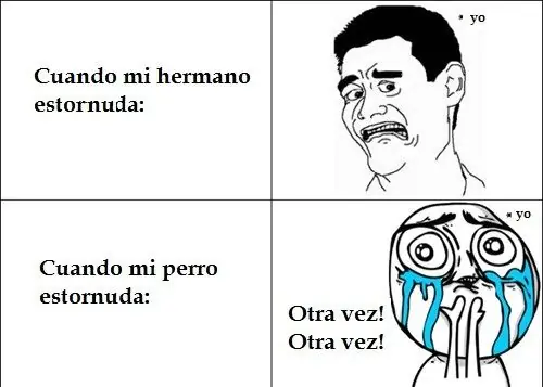 Memes, memes y memes!