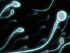 Más cerca de la píldora anticonceptiva masculina