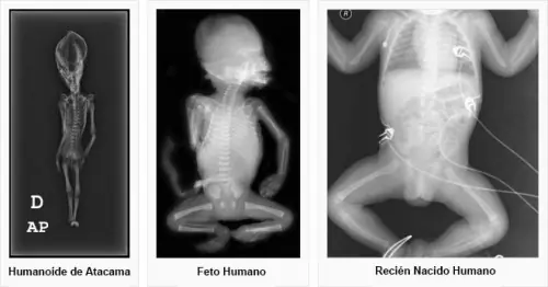 ciencia