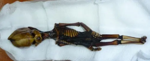 El humanoide de Atacama