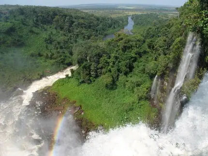 Selva