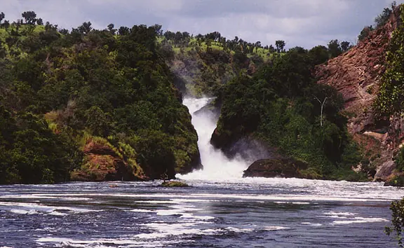 Selva