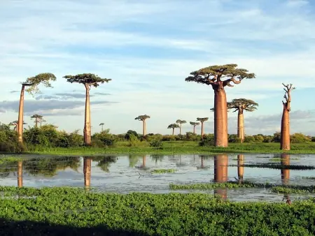 africa [megapost ]