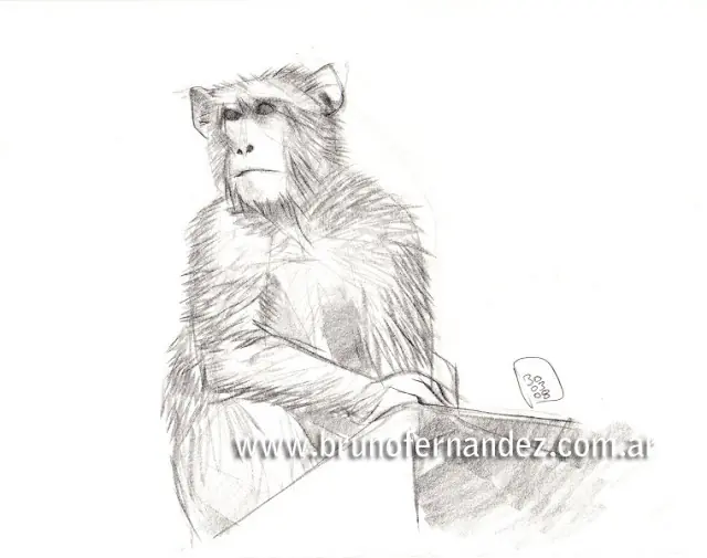 dibujos