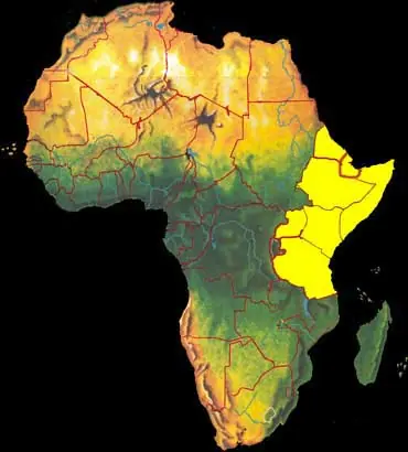Sudafrica 2010