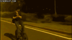 Gifs
