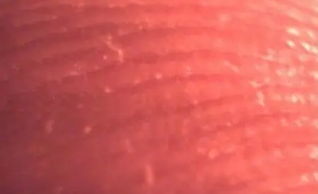 ¿Extrañabas la Inteligencia Colectiva?- 2da Parte!