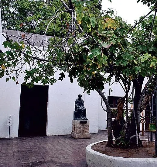 viejos