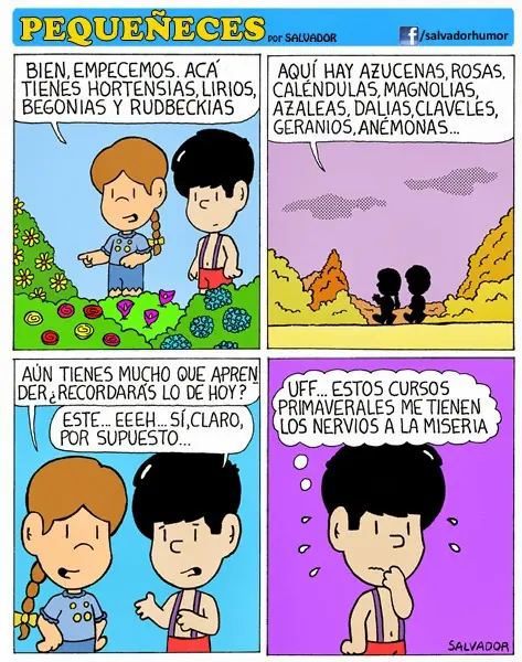 Humor Grafico