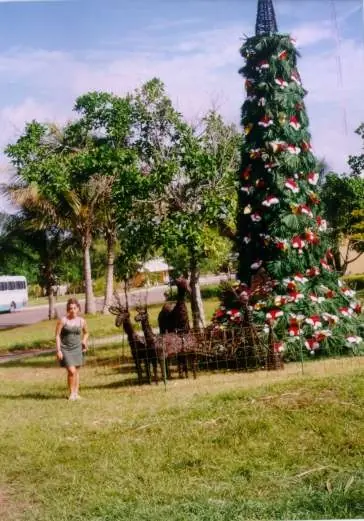 Arbol