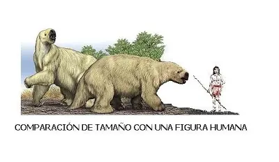 El hombre llego a america 15.000 años antes de lo que se p