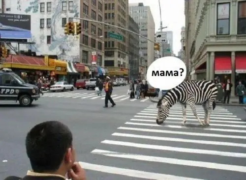 humor