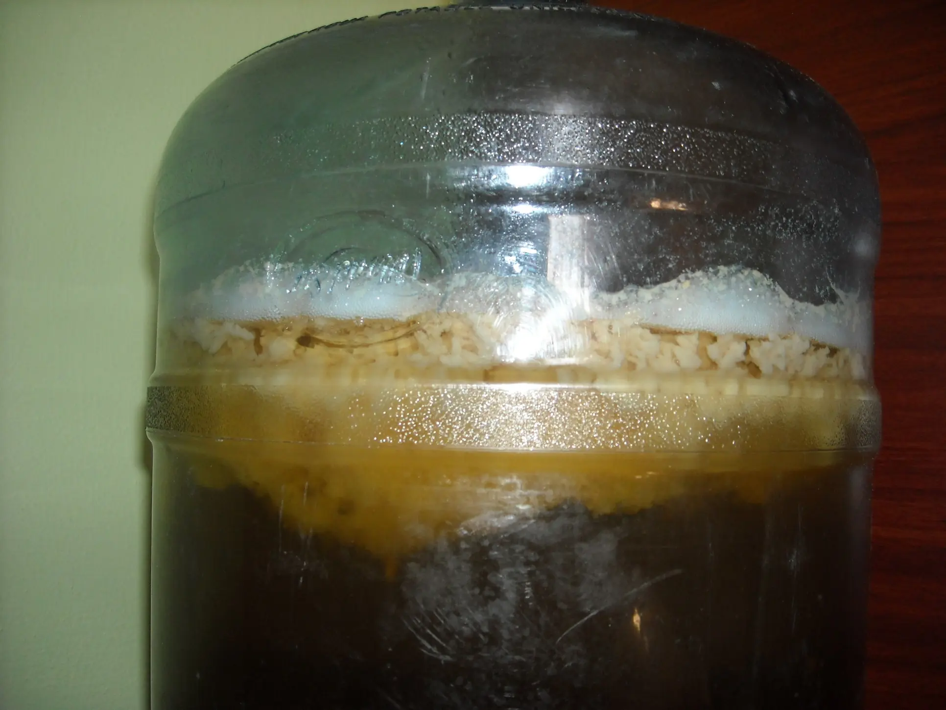 cerveza casera
