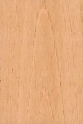Como hacer una guitarra (acustica)
