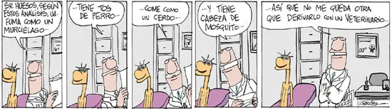 El mejor humor gráfico Argentino [desde Quino a Liniers]