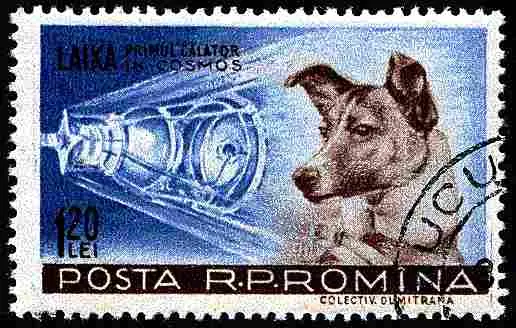 Laika 53 Años De Historia