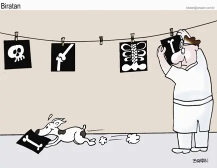 Grafico