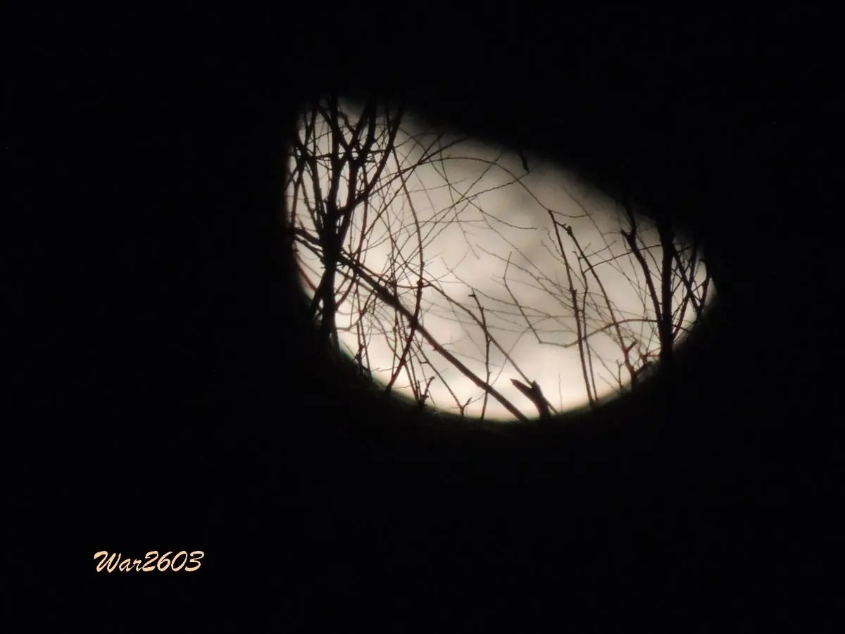 Te gusta la fotografía? Pasá y algo vas a aprender.