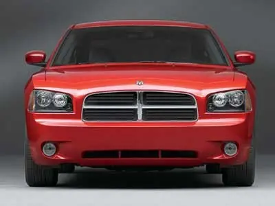 muscle