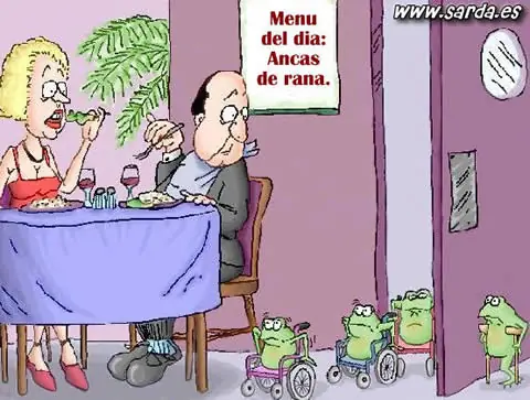 Grafico