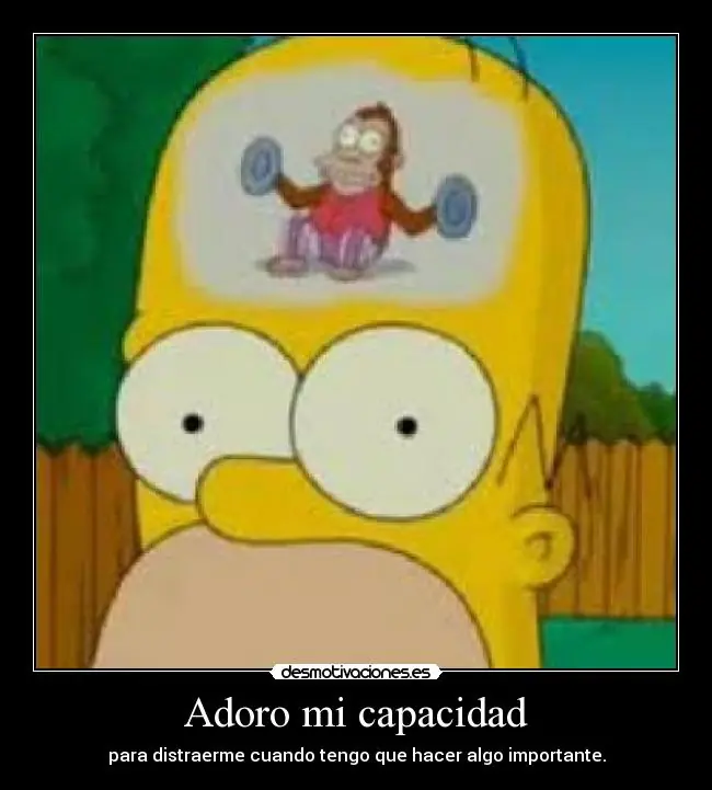 verdades