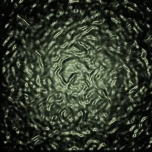 cs2