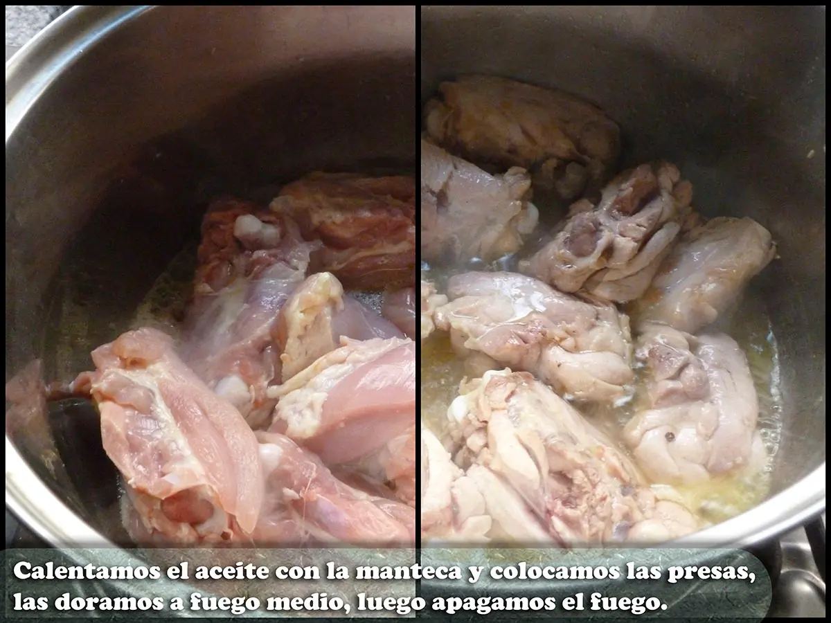 Pollo