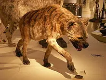 Animales Prehistoricos parte 4