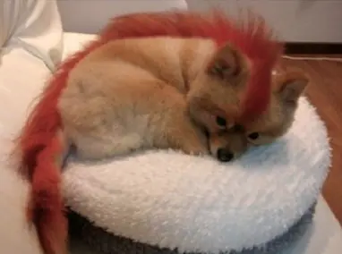 estas harto de que no abra rapido firefox aki la solucion::