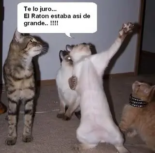 humor grafico muy bueno [parte 2]