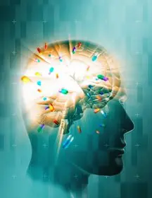 cerebro
