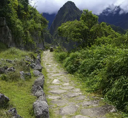Incas